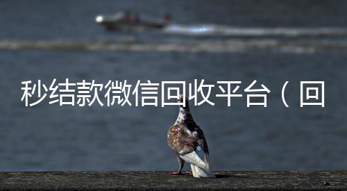 秒结款微信回收平收vx秒结24小时台（回收vx号秒结联系方式）