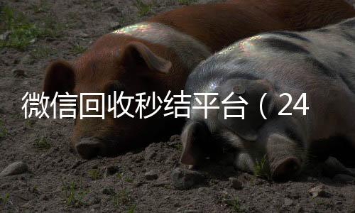 微信回收秒结平台（24回收微信平台小时高价回收微信秒结平台正规微信号回收秒结）