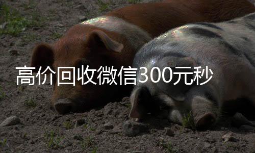 高价回收微信300vx秒结元秒结（24小时高价回收vx秒结）