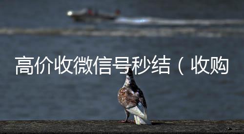 高价收微信号收购微信号秒结账秒结（收购微信号秒结）