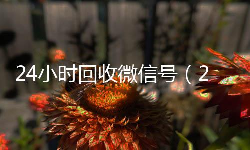 24小时回收微信收vx号号（24小时回收微信号秒结）
