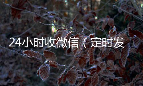 24小时收24小时回收vx微信（定时发送微信）