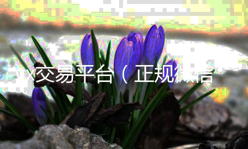 vx交易平台回收微信秒结账的（正规微信交易平台）
