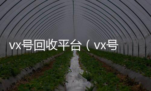 vx号回收平收购微信号台（vx号回收平台秒接）